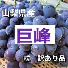 山梨県産　巨峰　葡萄　ぶどう　訳ありのサムネイル