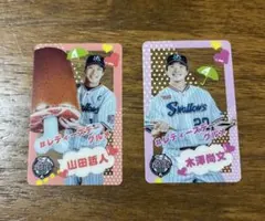 Item thumbnail for item 2c081cf0-0c16-4f30-bfc4-1c7384ff7444