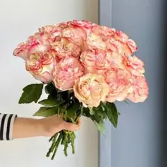 【超希少】バラの枝 Set No.4｜人気品種多め｜挿し木・接ぎ木用