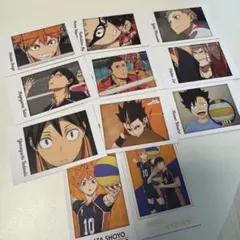 ハイキュー!! ハイキュー　2 キャラポトレ　バンダイ　烏野　音駒　バレー