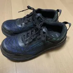 Item thumbnail for item 85a22659-b5ad-4801-a118-1faaaadfbb60