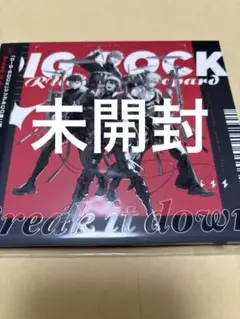 DIG-ROCK ディグロ ルビレ　CD シリアル付　未開封