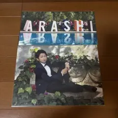 Item thumbnail for item 694dfd8c-b8fc-4f61-b41b-08106a970de8