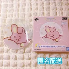 新品 未使用 BTS BT21 ガラスプレート COOKY JUNGKOOK