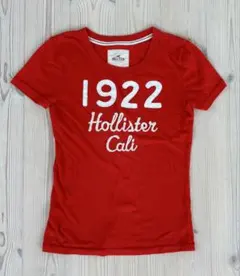 Hollister Tシャツ Y2K 2000s ピチTのサムネイル