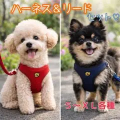 紺色　リード＆ハーネス　調整可能　脱着簡単　散歩 お出かけ 犬猫　鈴　丈夫 S