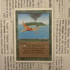 mtg 稀少 サインド 英語版 極楽鳥 5th 5ed 五版 mtg 稀少 サインド 英語版 極楽鳥 5th 5ed 五版 mtg 稀少