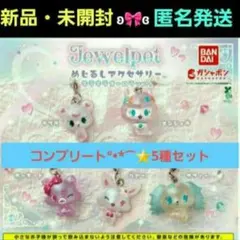 ✨コンプ✨☺️新品・未開封☺️★ジュエルペット★めじるしアクセサリー★