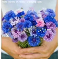 Keiko様 リクエスト 2点 まとめ商品