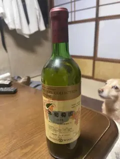 Chevalier de Bayard 1981 赤ワイン - メルカリ