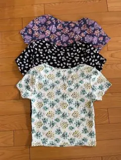 Item thumbnail for item c3d515d5-9b8c-4923-9e47-13932f382253