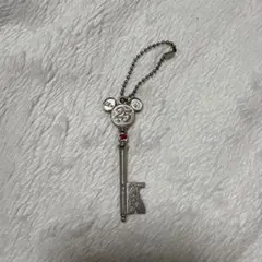 ディズニーランド 25周年 キー型チャーム