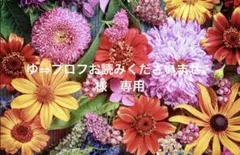 ゆ⇒プロフお読みくださいませ。様　専用