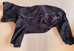 Item thumbnail for item 1ba80909-0635-4352-a1c5-4d253c3cb7ef