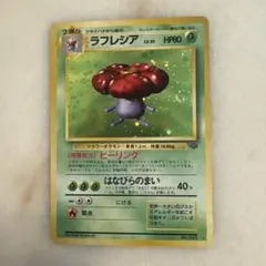 2026年最新】ラフレシアの人気アイテム - メルカリ