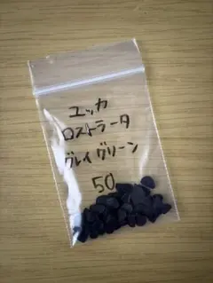 1up⚡️様 リクエスト 2点 まとめ商品