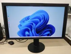 EIZO ColorEdge CG318 4K 31.1型　液晶モニタ3823H