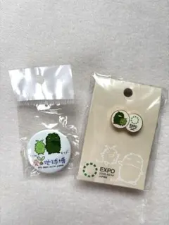 愛知万博 EXPO 2005 ピンバッジ 2個セット - メルカリ
