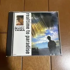 杉山清貴 real time to paradise