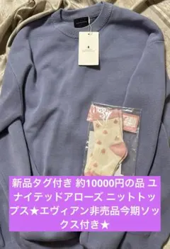 新品タグ付き 約10000円の品 ユナイテッドアローズ ニットトップスエヴィアン
