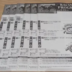 9/12.13 JRA レーシングプログラム 33