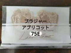 Item thumbnail for item 16e460d5-2f34-4426-b203-9d20514fb5e8