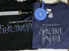 Item thumbnail for item 1398913f-bf89-42d1-816c-7a09f0d1b669