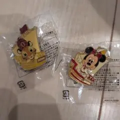 東京ディズニーリゾート ピンバッジ 2種セット