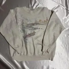 NORTHERN REFLECTIONS 風景画スウェット Mサイズ