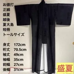 2026年最新】越後夏大島の人気アイテム - メルカリ