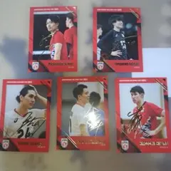 Item thumbnail for item 745f17e7-0fbe-44a4-b866-f610f3634f83