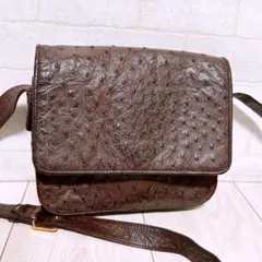 『美品』LOEWE(ロエベ)ショルダーバッグ オーストリッチ