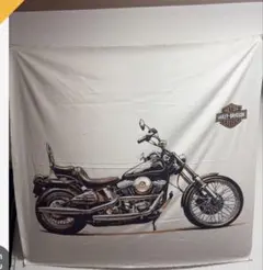 専用