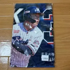 大谷翔平 ミニのぼり 日本ハム - メルカリ