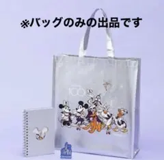 【最終値下げ/未使用品】ディズニー セレブレーション バッグ