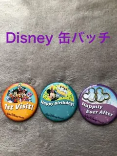 Walt Disney World Resort　缶バッチ　ディズニー