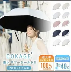 Item thumbnail for item 51607ee5-f783-48a8-bb43-d8ffa254c18f