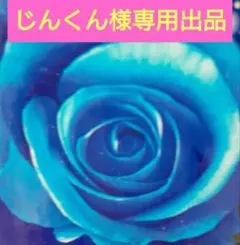 じんくん様専用出品となります。のサムネイル