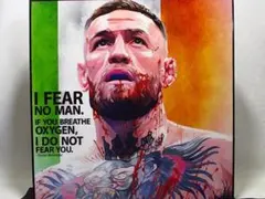 【新品 No 255】 ポップアートパネル コナー マクレガー