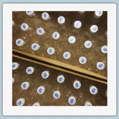 Item thumbnail for item cf42aaf4-1f02-4637-b220-3fe23a6c3fa5