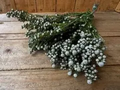 meimii☆プロフ読んでね様 リクエスト 2点 まとめ商品