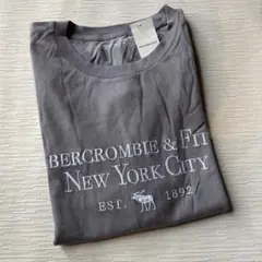 アバクロ　半袖　Tシャツ　ロゴ刺繍　グレー　XL