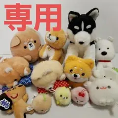 モチモチ【深夜評価】様専用