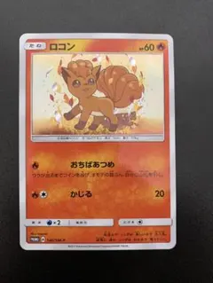 2026年最新】ポケモンカード ロコン 146/SM-P プロモの人気アイテム