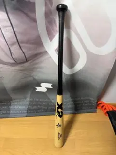 Item thumbnail for item 7c693467-30b4-40a9-b609-71674dcf7e31