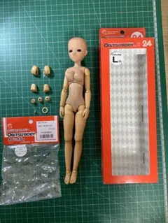 OBITSU BODY ver.2 24cmL胸+FR-02ヘッドセット　褐色肌