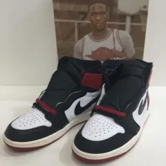 NIKE AJ1 RETRO HIGH OG 7251015N03S