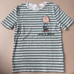 【H&M】 チャーリー・ブラウン Tシャツ 134/140 緑　ストライプ　夏
