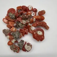天然珊瑚 ルース 詰め合わせ ハンドメイド素材