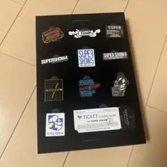 SUPER JUNIOR イェソン 咲き誇る時を待つのは ピンバッジ 東京 限定